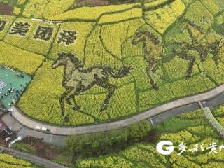 “百里仁江·花漾汇川”2026“以花为媒·悦动田园”春季赏花游启动