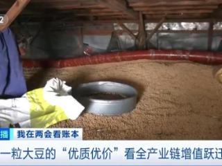 竞争力逐步跃升！盘一盘国产大豆的“全产业链增值账”
