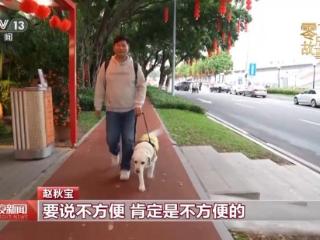 他带着导盲犬行走中国 勇敢出发奔赴心中的光