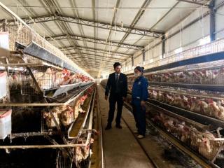 工行兴义万峰支行：“贷”动智变，金融活水“孵”出致富金蛋