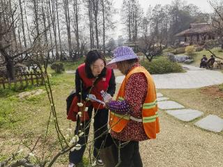 财信人寿湖北分公司开展“赏梅·学雷锋·护权益”主题公益活动