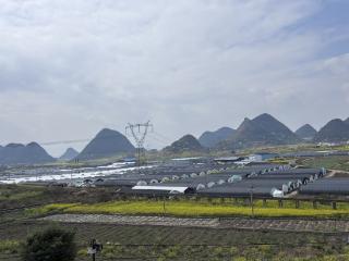 深耕乡土惠民生 春耕备耕启新程——普定农商银行以金融活水护航乡村振兴