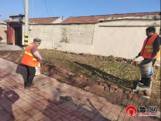 德州市陵城区糜镇：环境整治不停歇 人居环境焕新颜