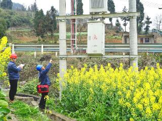 南方电网金沙供电局：党员服务队以“满格”电力为春耕保驾护航