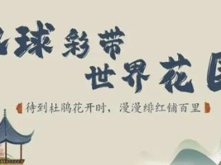 行在百里|2026年杜鹃花季乘车攻略来袭！赶紧收藏起来！