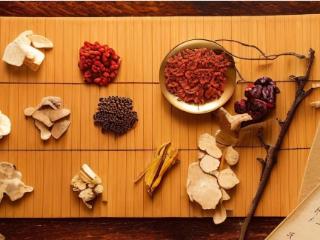 2026两会观察：一家山东药企，如何让300年的清朝老药方“开口说话”？