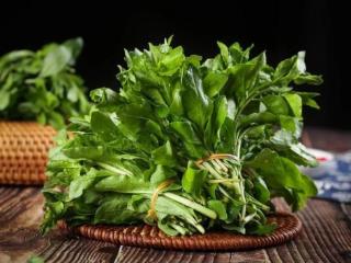 河南人的“吃春”时节已至，这些野菜正当“食”！