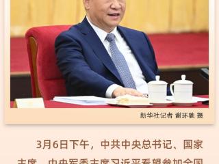 习近平的两会时间丨“重点工作做到位了，健康中国建设就能扎实推进”