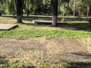 长春南湖公园规范绿地共享管理