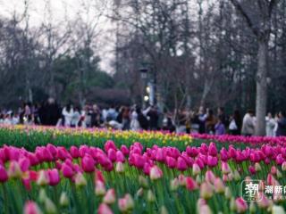 69条霜冻预警齐发！乍暖还寒，浙江人还需注意“捂一捂”