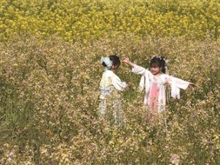 赴一场春日的花海