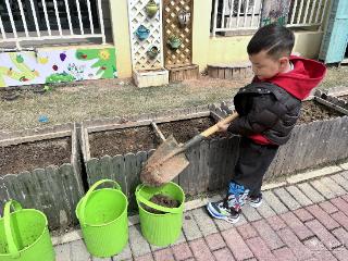 培土挂牌许心愿 这群娃娃和树苗有个成长约定
