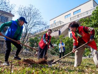 三月春意暖 社区植树忙