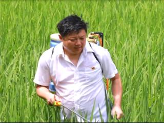 怀化洪江市：“星火”闪耀乡村兴