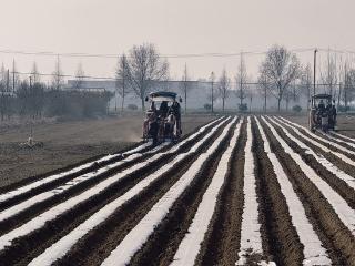 科技赋能分类施策 罗庄区春耕春管跑出“加速度”
