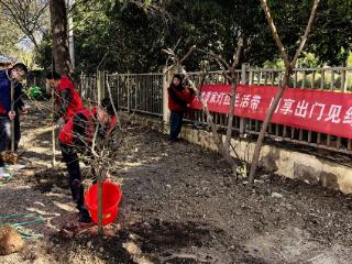 淞潭社区：共建潭家灯红生活带，同享出门见绿好时光