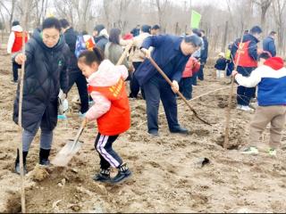 种树的人，终将被时间种进春天