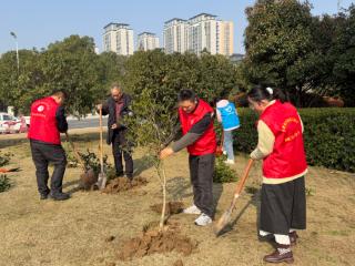植树节当天，合肥庐阳居民认养“一棵树”