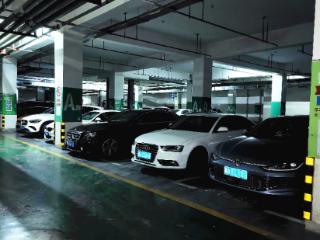 合肥庐阳区一停车场开放200个共享泊位，全年包月仅80元