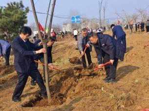 邮储银行临沂市蒙阴县支行积极参加全县义务植树活动