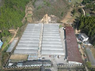 施秉：抢春育苗，打好烤烟种植“第一仗”