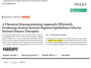北京家恩德运医院：干细胞高分辨核型分析，助力您的科研突破