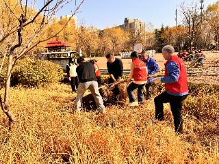 拥抱春天 播种绿色——上高街道双龙社区开展植树节活动