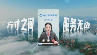 3·15丨新华保险“空中柜面”让保单服务零距离