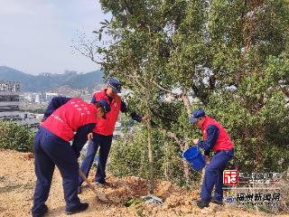 永泰消防员种下百余株新苗
