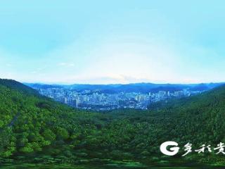 桐梓：点“绿”成金，“林业+”模式激活乡村振兴新动能