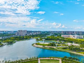 从“能喝水”的路到“会思考”的城，这个地方把基建玩出了花