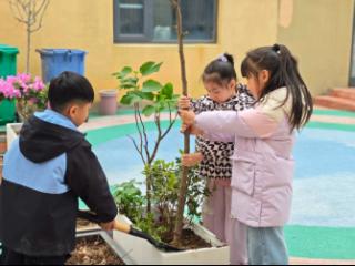 小手添新绿 童心护家园——临沂市兰山区兰山街道中心幼儿园（祥和园）开展植树节主题活动