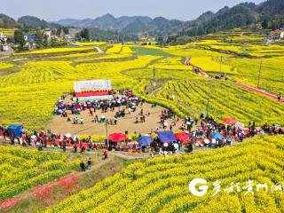 遵义播州：花海长桌聚民心