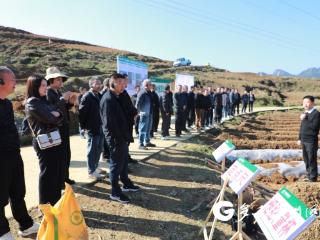 绥阳：人勤春来早 备耕正当时