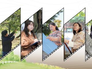 读城 | 真暖，她们把古树宠成了孩子的模样