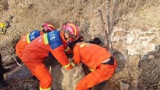 险！男童小腿被巨石卡住 长春消防2分钟紧急救援