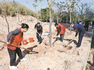 “植”此青绿春满城 我市多单位踊跃组织植树活动