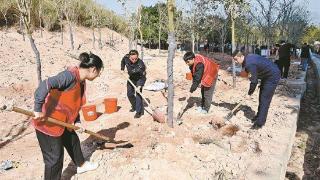 “植”此青绿春满城 我市多单位踊跃组织植树活动