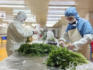 182个农业品牌提升竞争力！廊坊蔬菜北京市场占有率达16.2%