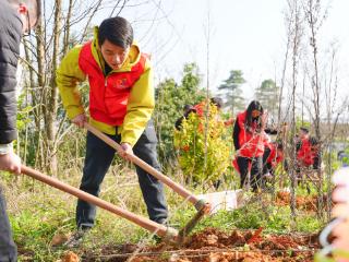十七载春风植新绿——工行贵阳分行连续十七年开展学雷锋爱心植树活动