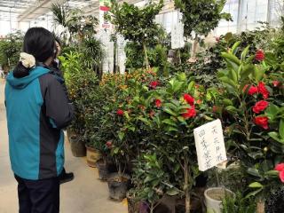 雪堂社区：党建联建添新绿，携手共建幸福园