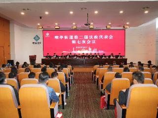 务实领航，启程新篇！唯亭街道召开第二届议政代表会第七次会议