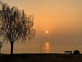 组图|到淮南“小洱海”，赴一场春日与飞鸟的约定