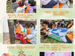 播种绿色希望 守护美好春光——临沂市兰山区兰山街道中心幼儿园（丹枫园）开展植树节主题活动