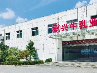 匠心三十载 醇香润泉城——兴牛乳业荣膺“济南老字号”，坚守鲜奶品质初心