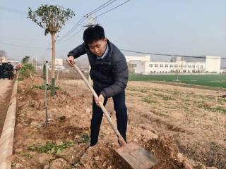邮储银行临沂市沂南县支行开展义务植树活动