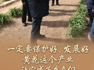 习语丨从小黄花到小龙虾，总书记为何关注这些“小产品”？