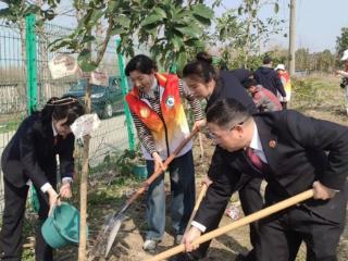 绿荫同建 花开未来