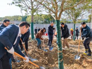 植树节，千灯再添新绿！