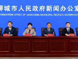 聊城发布春耕春管进展：小麦苗情持续向好转化升级